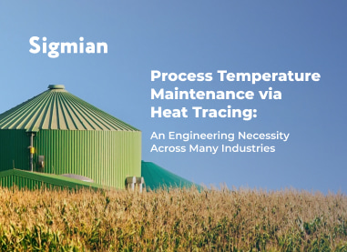 Process Temperature Maintenance via Electric Heat Tracing: An Engineering Imperative Across Multiple Industries
